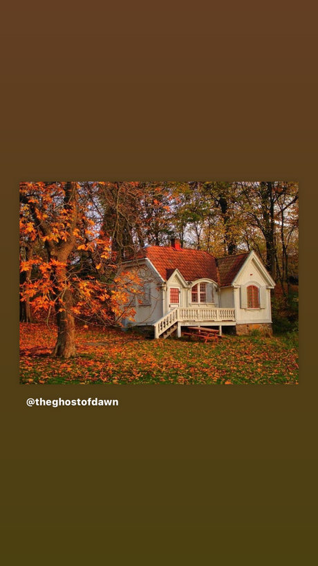 Ed s Place_ freie hübsche bilder