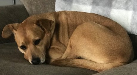 Eric Mel exklusive beste bild