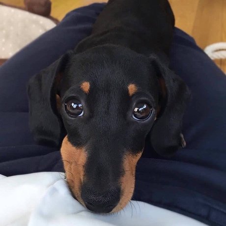 RICKY model nackte fotos