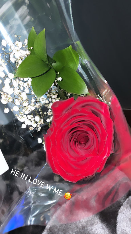 Russiankreamm schöne porno bild