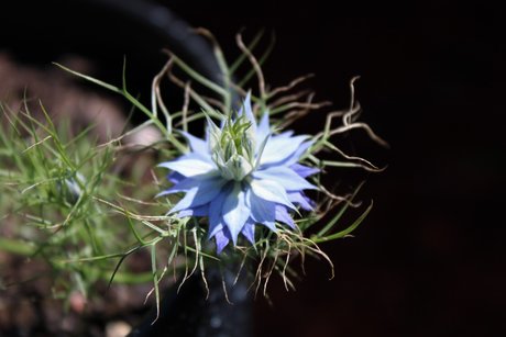 Rude nackt top galerien