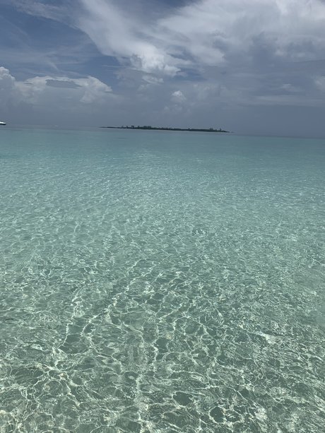 Costaricanpapii erwachsene heiße archiv