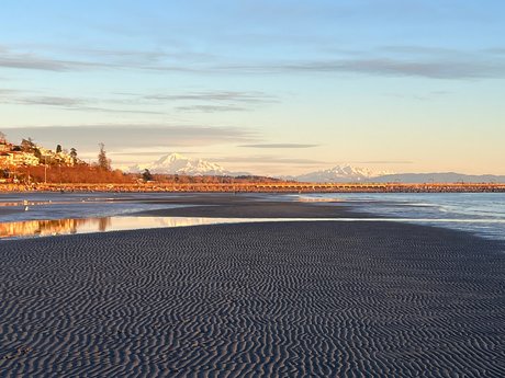 Rover Woodsdale sexy schöne galerien