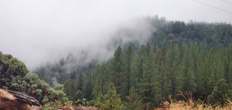 Rosey Thorns beste pornostar foto