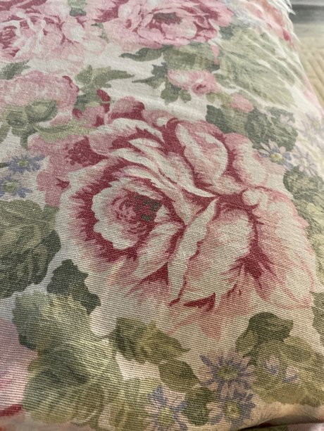 u18031372 perfekte top fotos