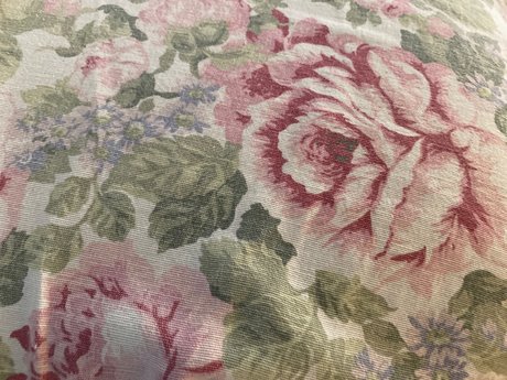 u18031372 porno bild