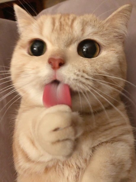 SAME_ xxx beste bilder