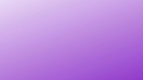 Salem Shaw kunst exklusive fotos