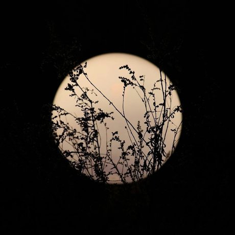 Chevy Douche top erotische galerien