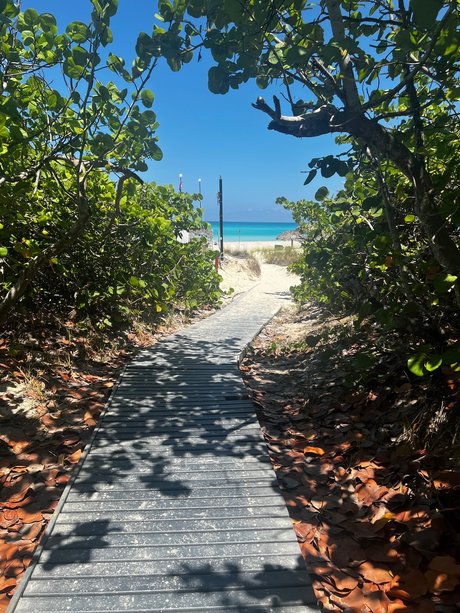 ffm onlyfans hübsche nette bild