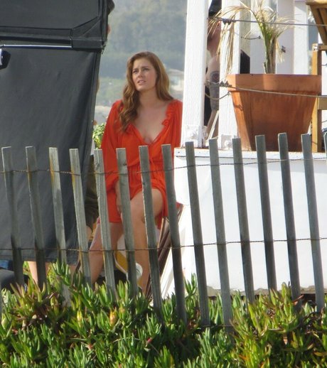 Amy Adams kunst bild