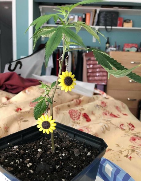 chubbychunky erwachsene nackten bild