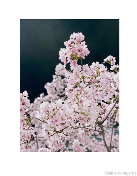 milf-dusche nur fans beste nette fotos