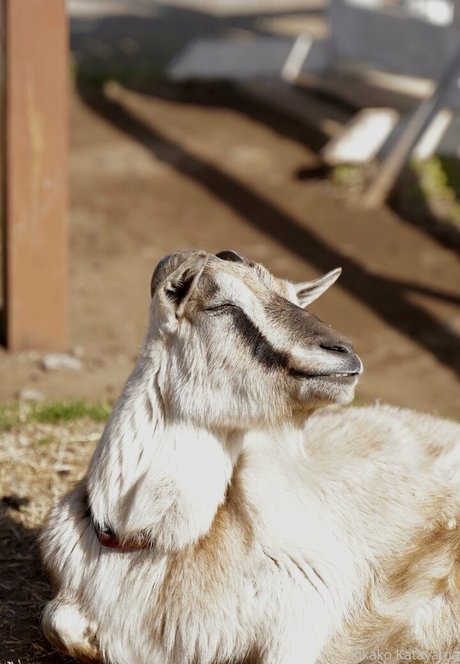 pov onlyfans hübsche top fotos