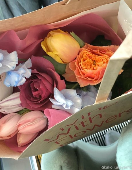 rikakodesu kostenlose kunst galerien