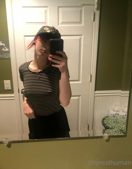 tinyrealmoth hd schöne fotos