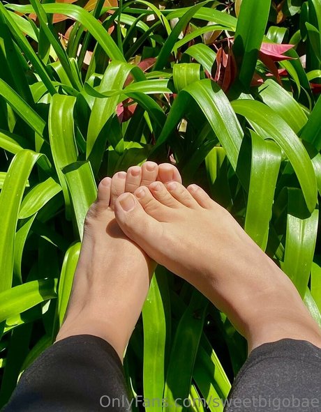 rote haare nur fans sexy hd galerie