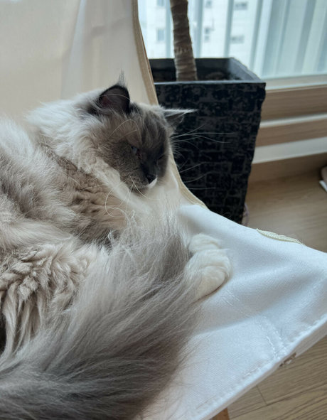 hinachan01 freie kunst galerie