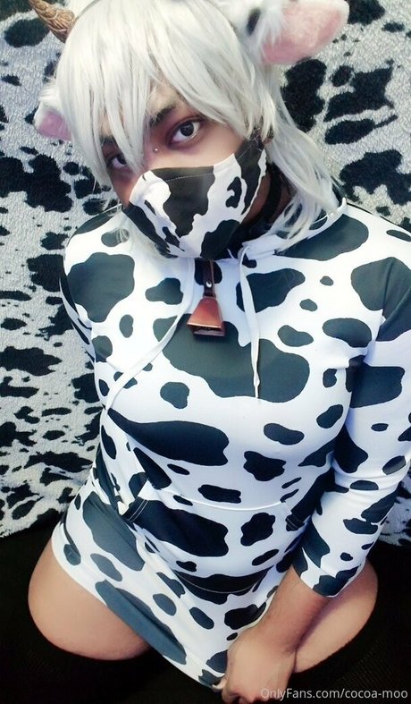 cocoa moo schöne freie bild