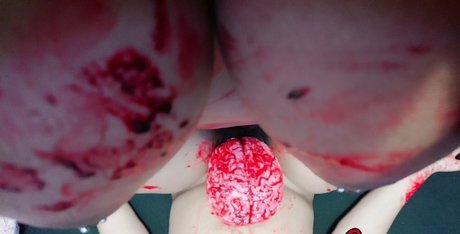 cocoa moo top kostenlose fotos