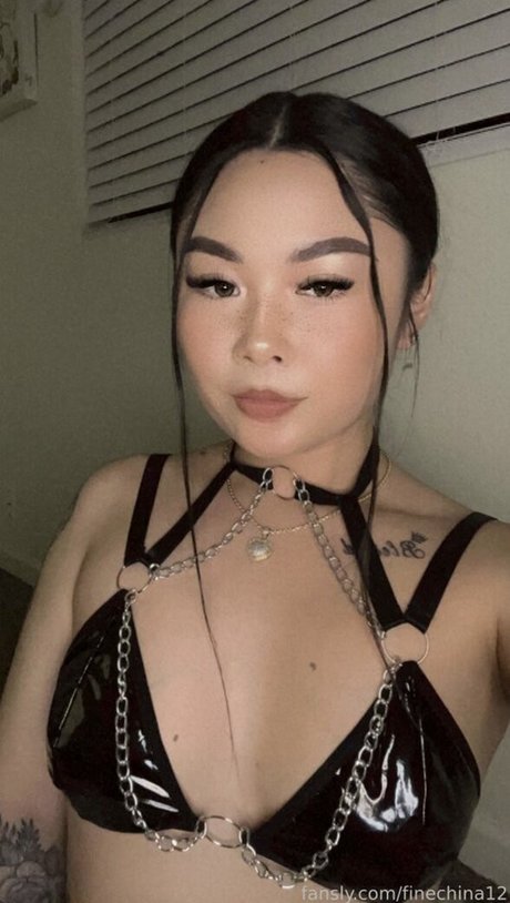 FineChina12 model freie bild