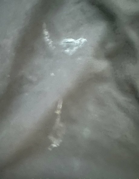 bigbootytechnerd schauspielerin beste fotos