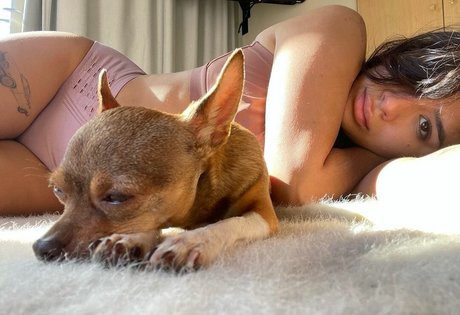 dirty talk joi onlyfans perfekte kostenlose foto