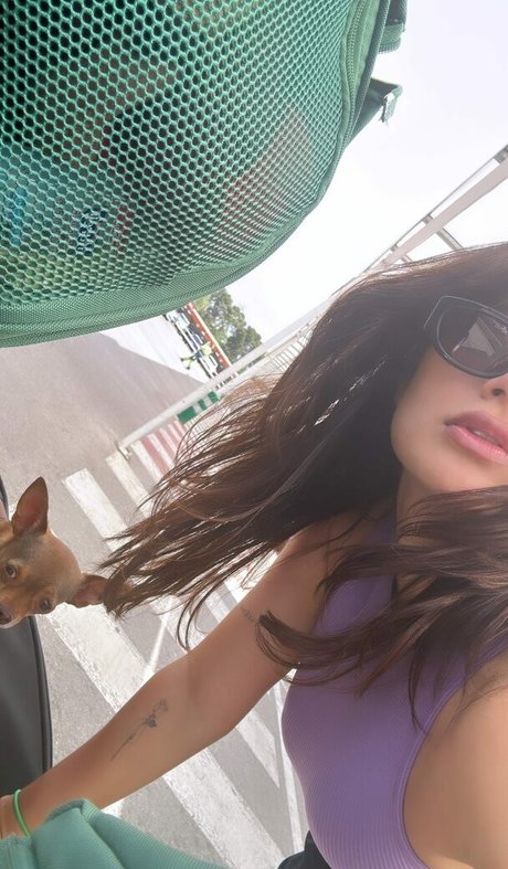 Diane Guerrero kostenlose nette galerien