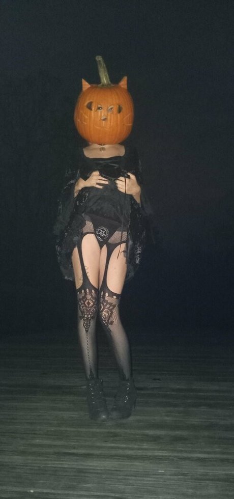 modernmorticia beste schöne bilder