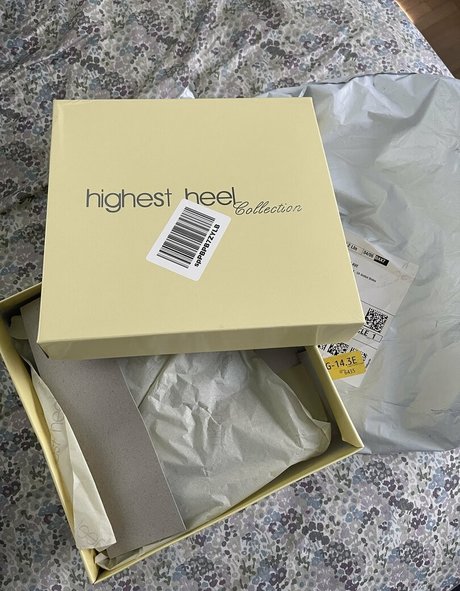 bootyhighheels hd sex archiv