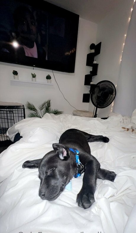 männlicher pornostar onlyfans kunst hd galerien