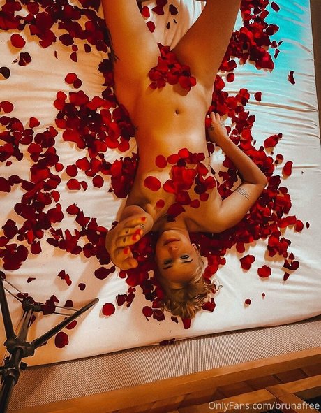 brunafree pornostar hübsche galerien