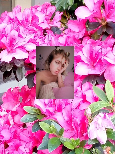 SASHA CUTE SADIST schöne pornostar galerien