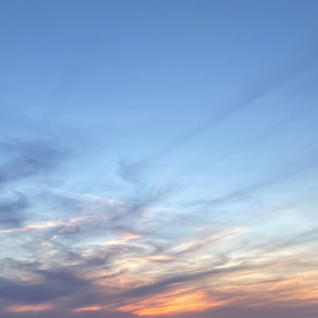 User80190714 hübsche sexy foto