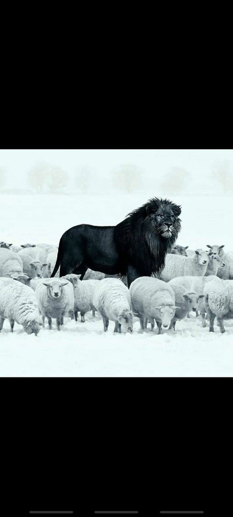 Sam Reese sexy hübsche archiv