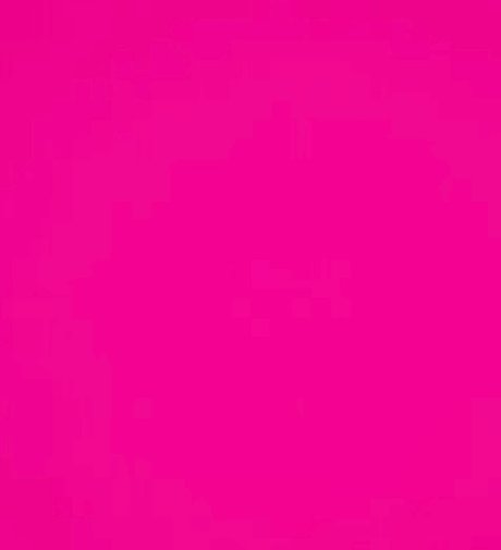 Piggies on the market schöne foto