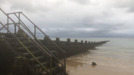 Your Queen Addi kunst schöne fotos