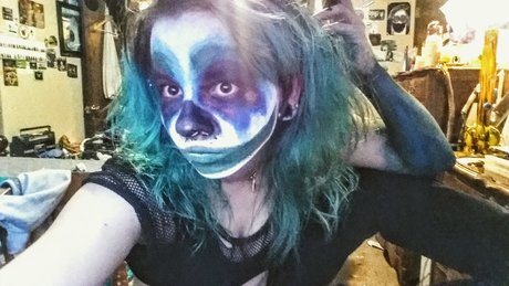 FoxKats FunFacts_ exklusive erwachsene bild