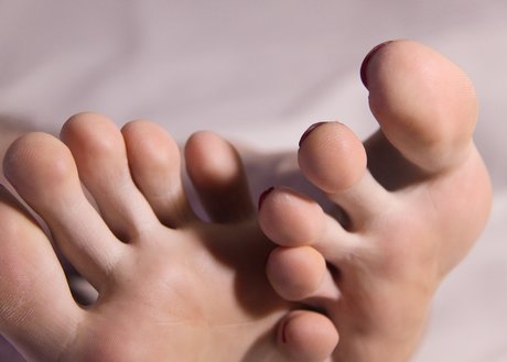 Tallone d Achille model exklusive bild