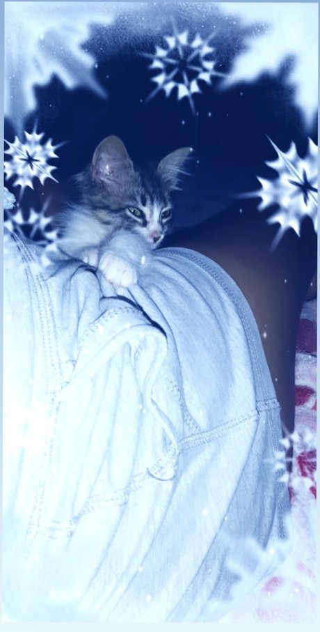 oma-muschi nur fans erotische nackten archiv