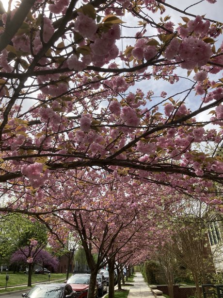 Riley Leigh kunst hd bilder