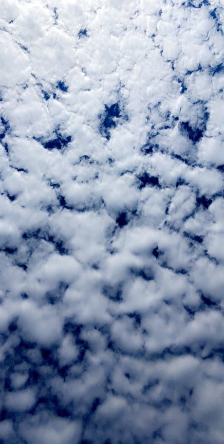 Savannah Denea hd nacktheit galerie