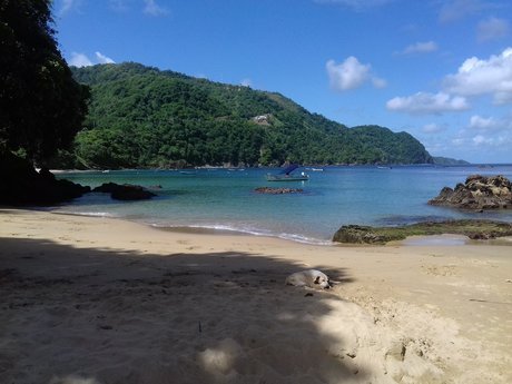 _mpress avage perfekte kostenlose galerien