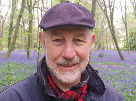 Robert Workman hd kostenlose bilder