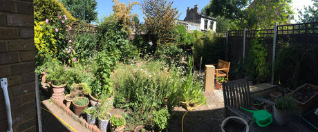 Robert Workman model perfekte galerien