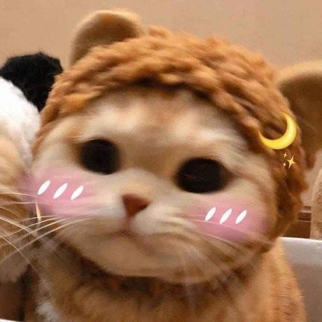 u151486669 pornostar akt galerien