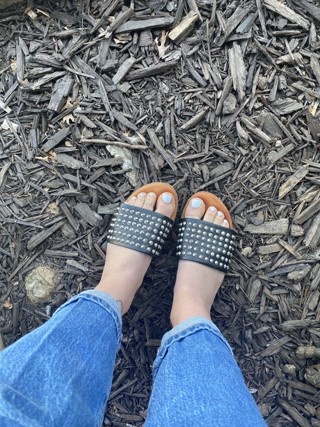 Katrina Kass kunst perfekte galerie