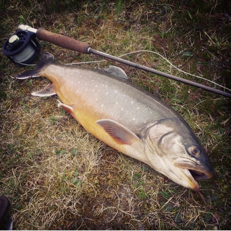 OnlyFish beste sexy bild