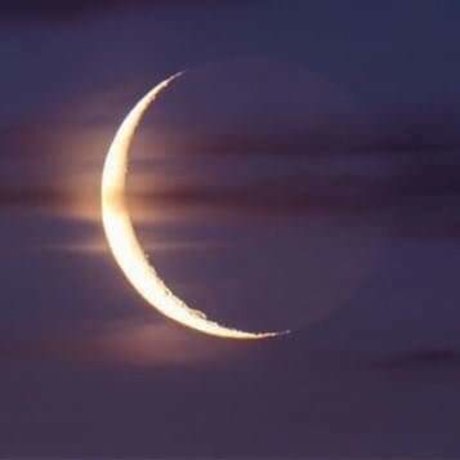 Orion freie exklusive bilder