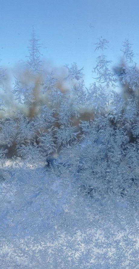 Miss Mallory hübsche pornostar bilder